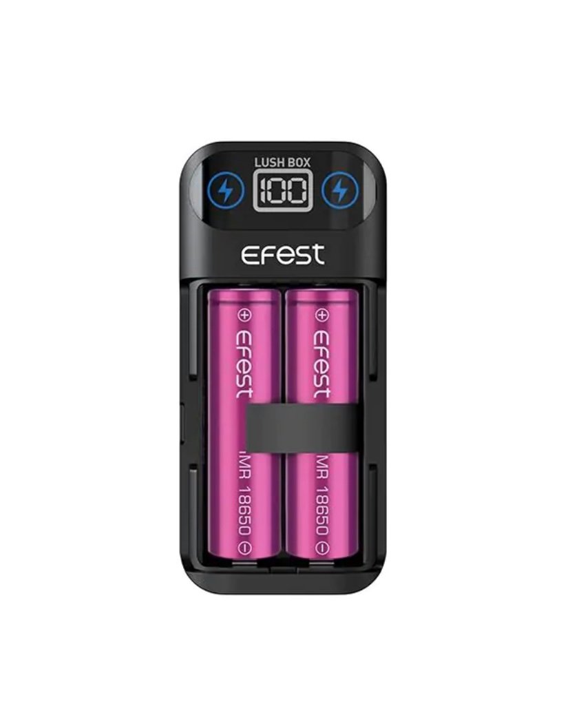 EFEST LUSH BOX BATTERY CHARGER - Image 2