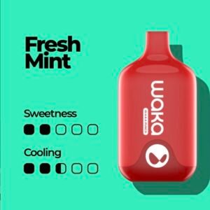 Waka Smash 6000 Puffs Disposable Vape Fresh Mint