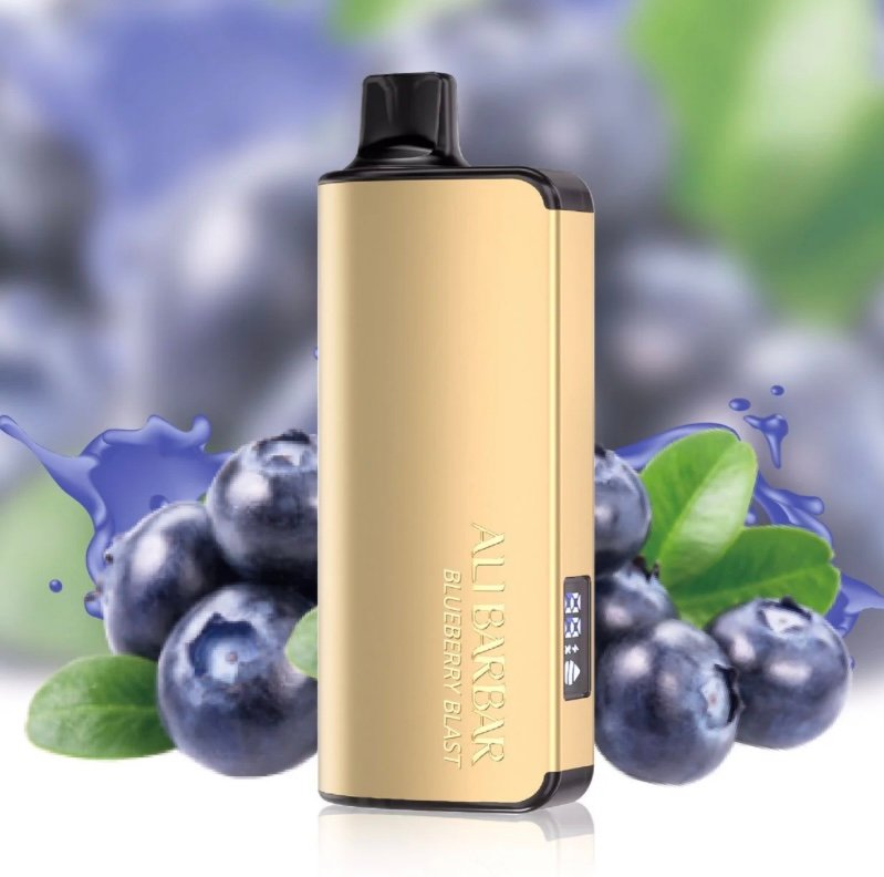 ALIBARBAR INGOT BLUEBERRY BLAST 9000 PUFFS