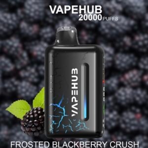 VAPEHUB FROSTED BLACKBERRY CRUSH – 20000 PUFFS